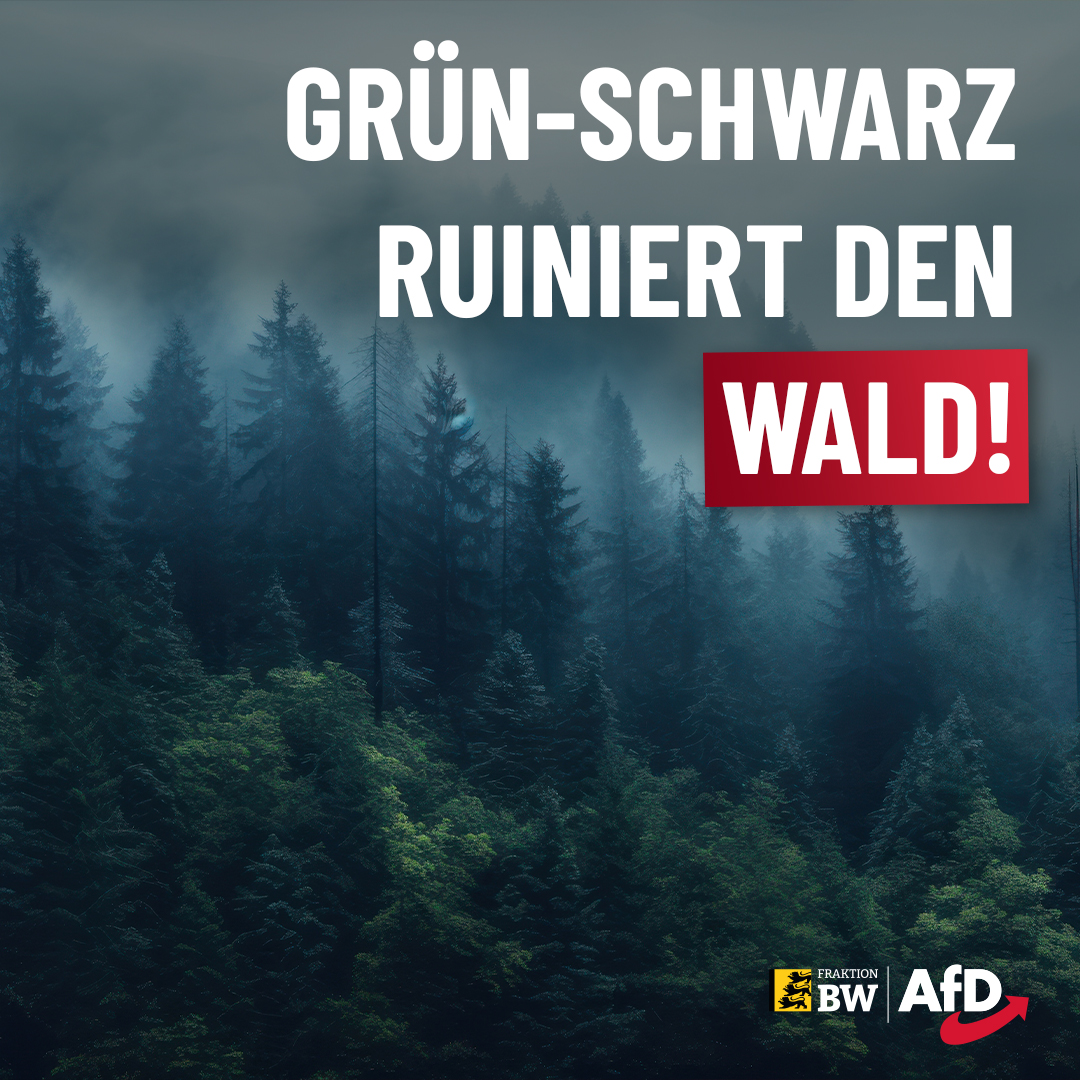 Dennis Klecker: Grün-Schwarz ruiniert den Wald!