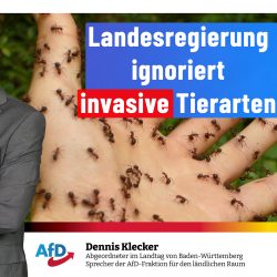 Dennis Klecker: Landesregierung ignoriert Probleme durch invasive Tierarten